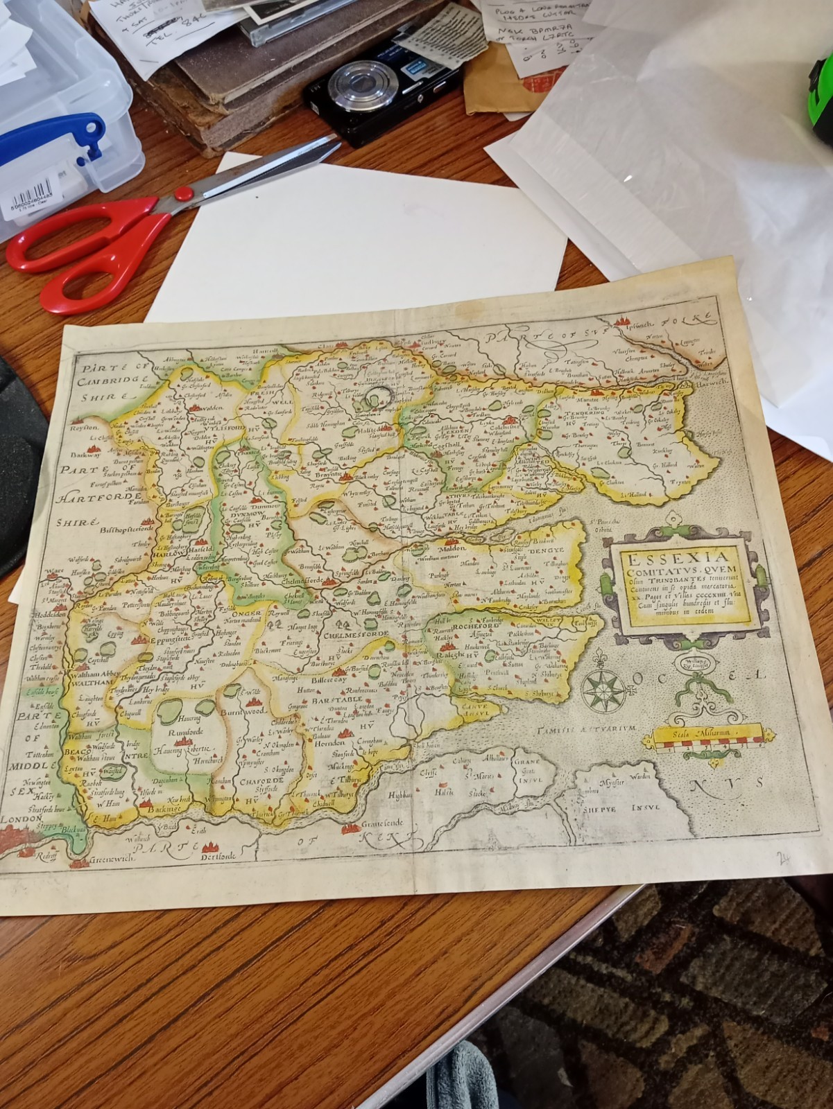 essex(essexia) william kip 1610