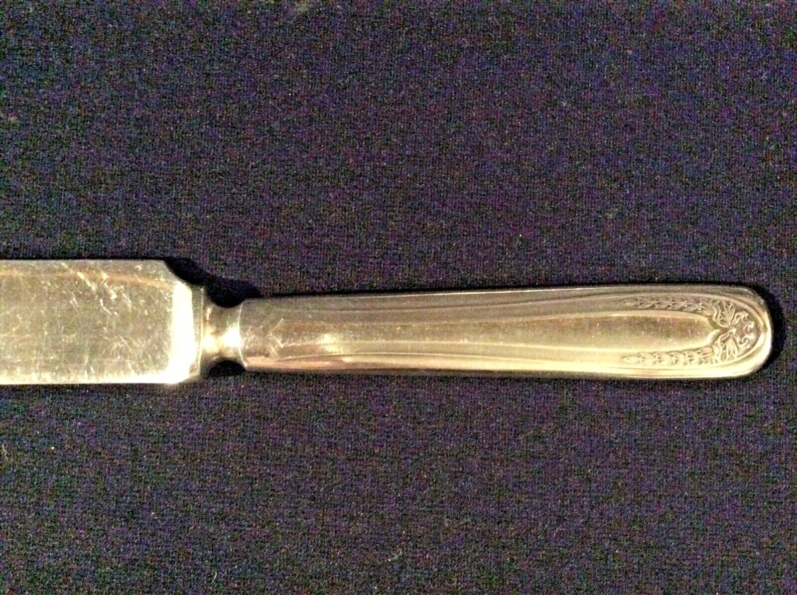 Bridal Wreath Oneida 1915 Par Plate Knives – 6