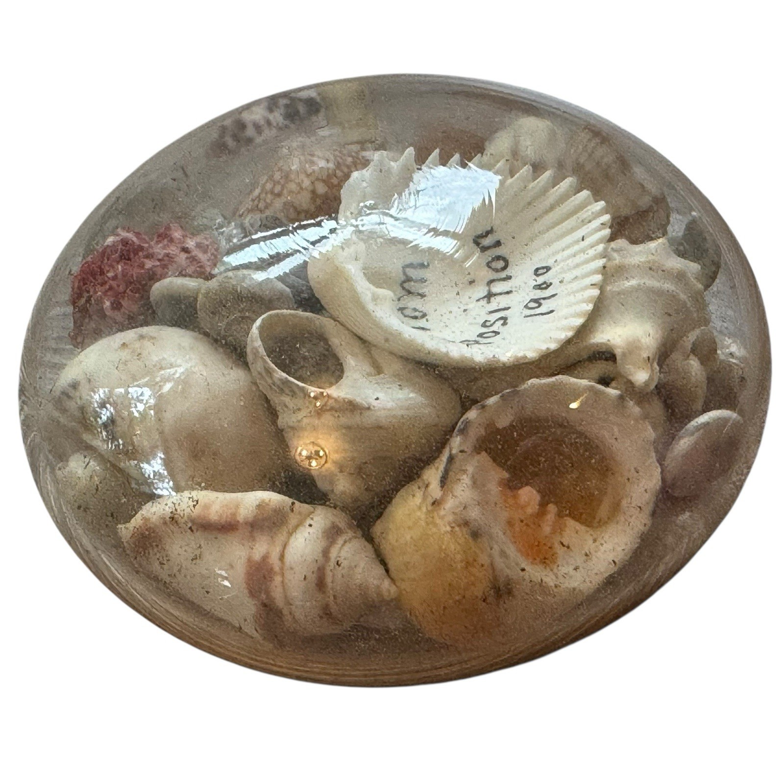 Victorian Edwardian Shell Seashell Glass Dome Paperweight Souvenir Expo 1900