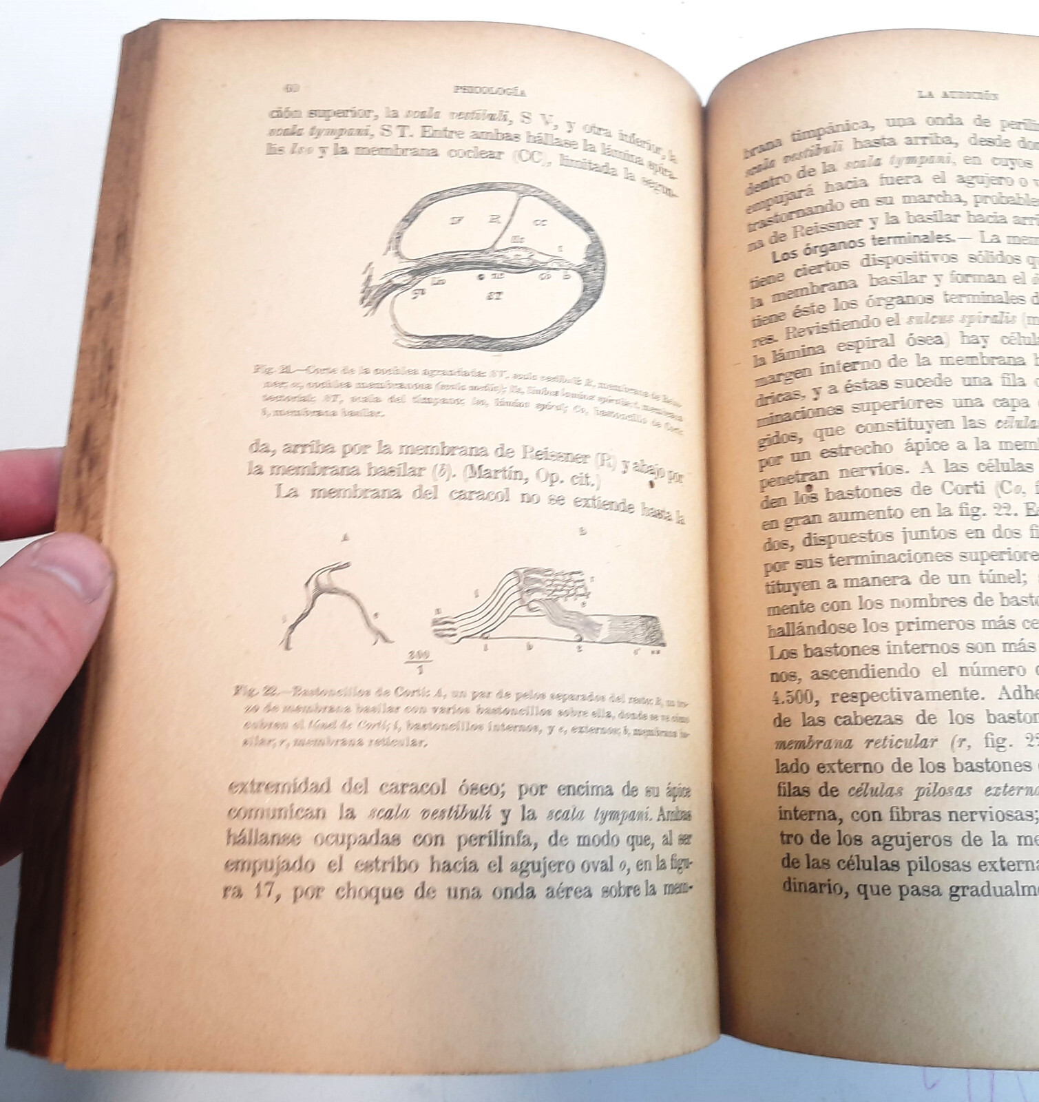 Antique book COMPENDIUM PRINCIPLES PSYCHOLOGY WILLIAM JAMES 1916 SPANISH RUBIANO