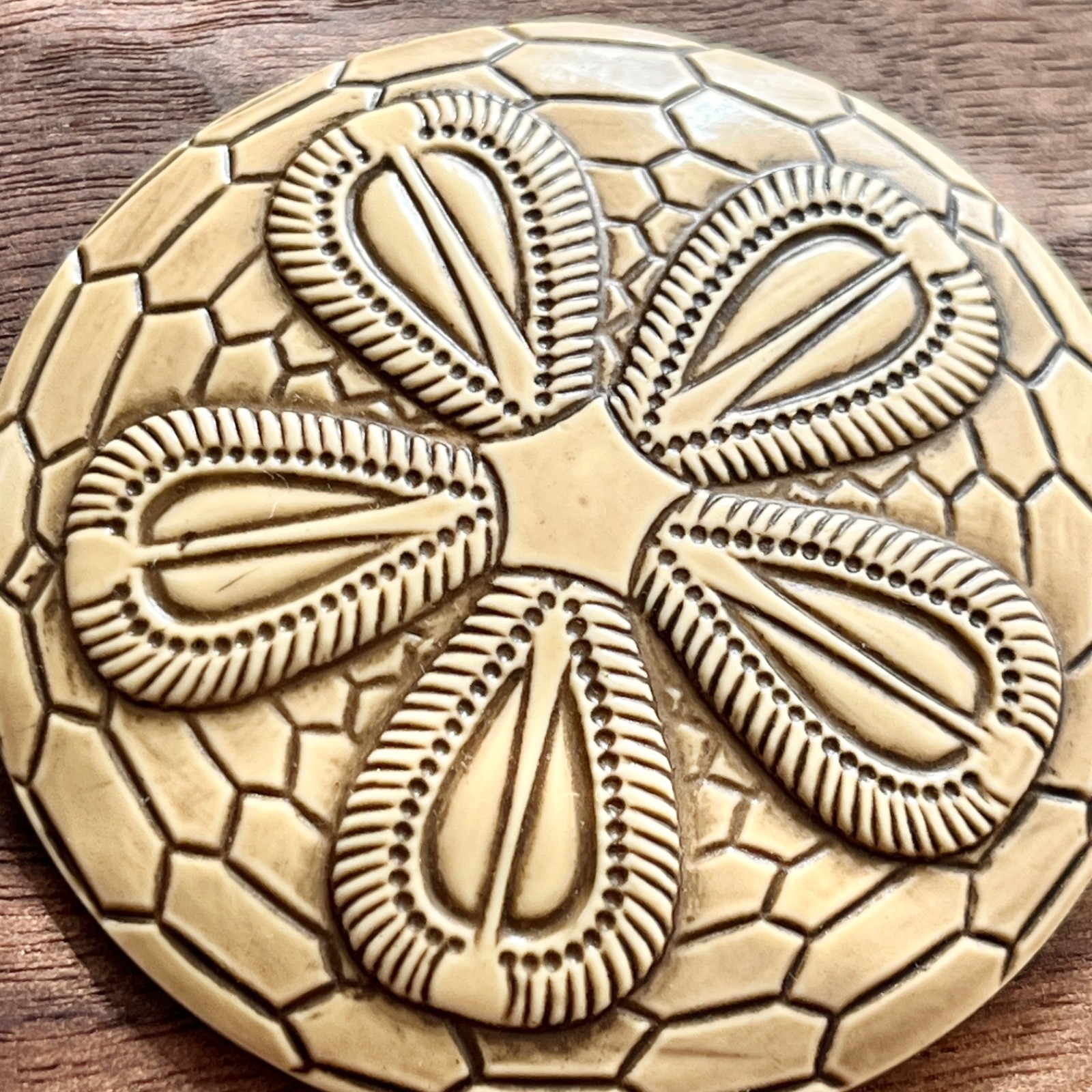 Antique Large Celluloid Sand Dollar Button Coat Button 1920’s 1930’s 2-3/16″