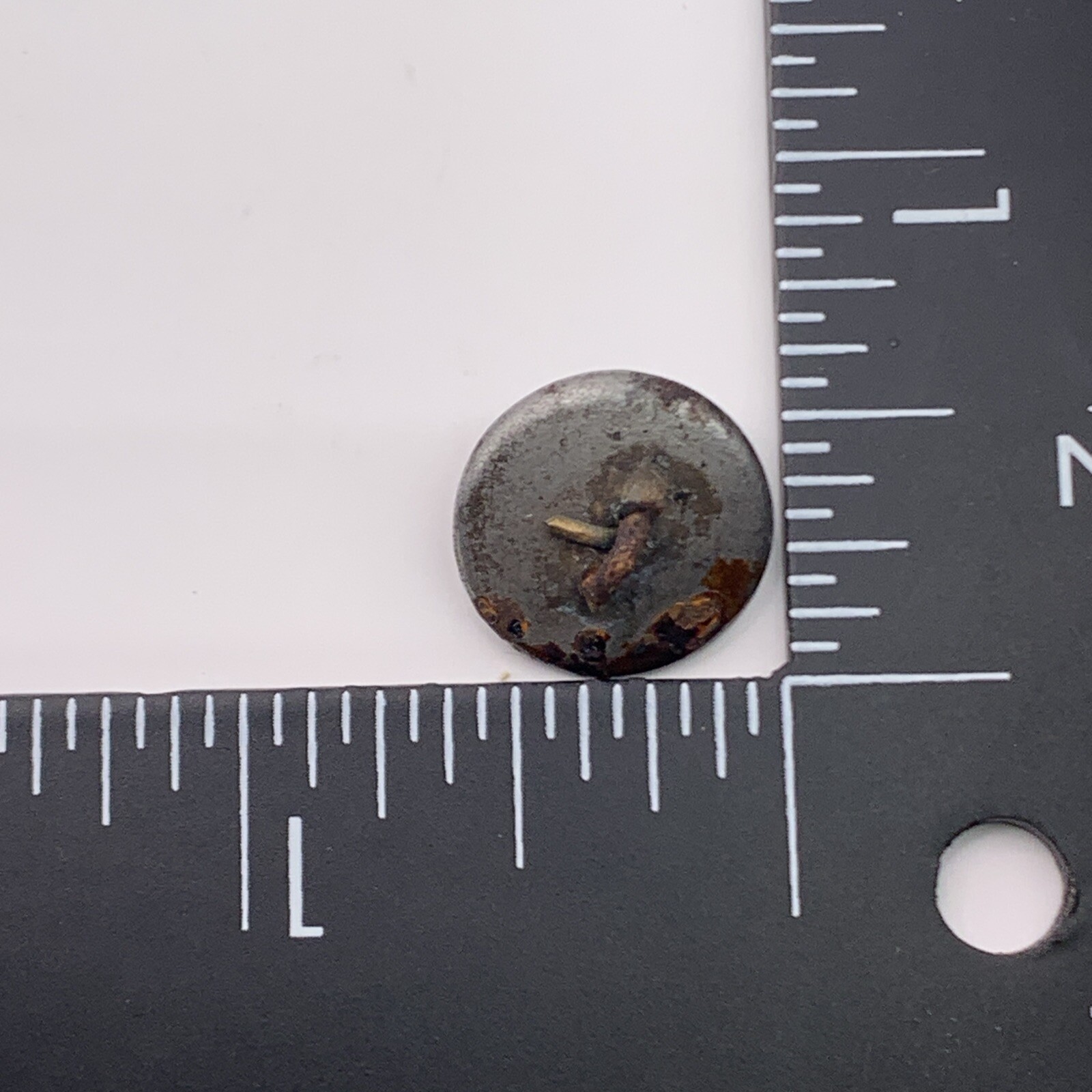 Vtg Horse Head Button 3D Front Facing Antique