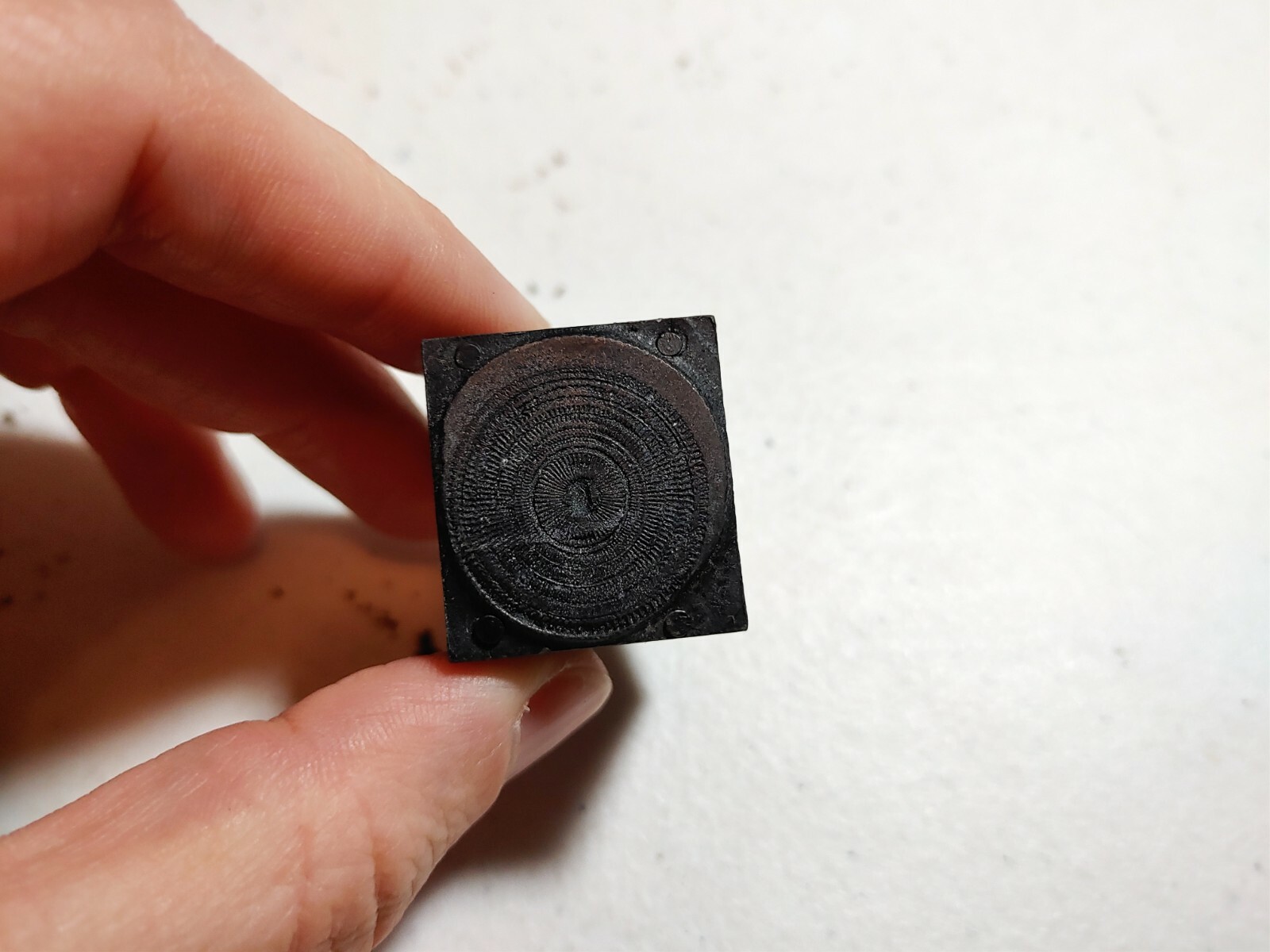 Vintage Letterpress Printing Block Spiral Seashell?