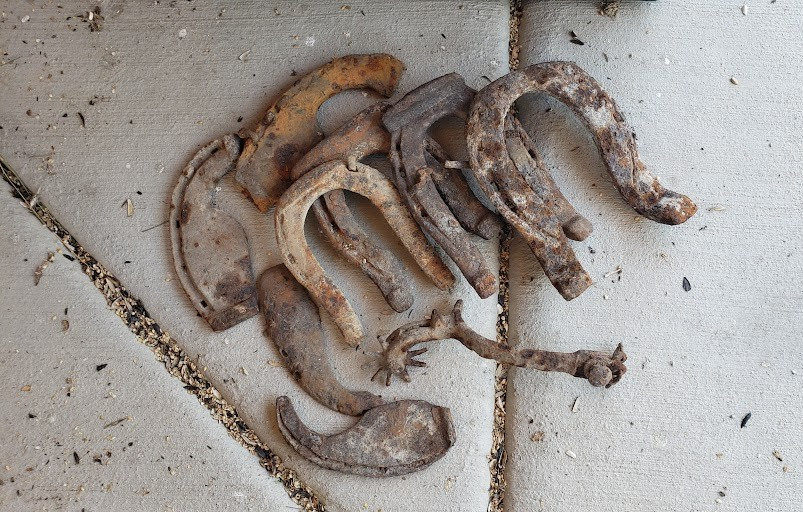 Antique Horse Shoe & Ox Shoes Western Mining Camps Finds Crusty Partial Spur
