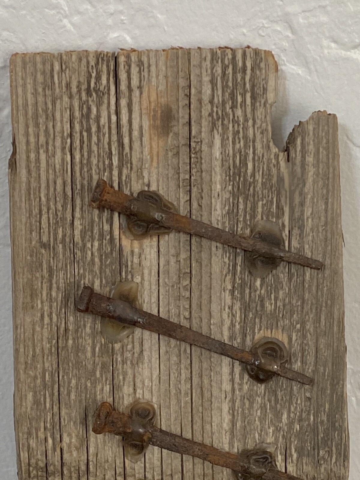 Original 1800’s Antique Square Nails and Wood Piece Art Decor Collector piece