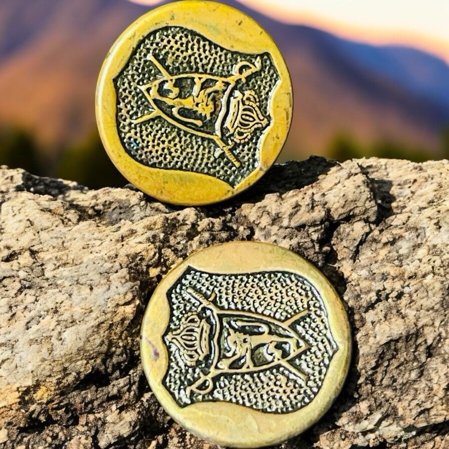 2 Kings Crown Coat Of Arms Crossed Swords Over Shield STANDING LION Button