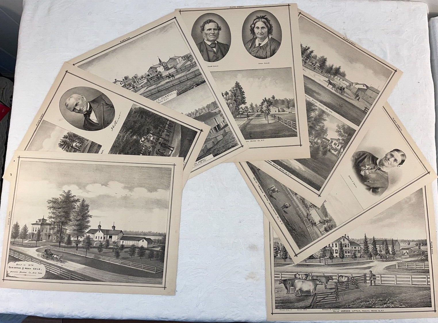 LOT of 14 NEW YORK 1877 Original Printed Lithographs Mendon Monroe County Roch