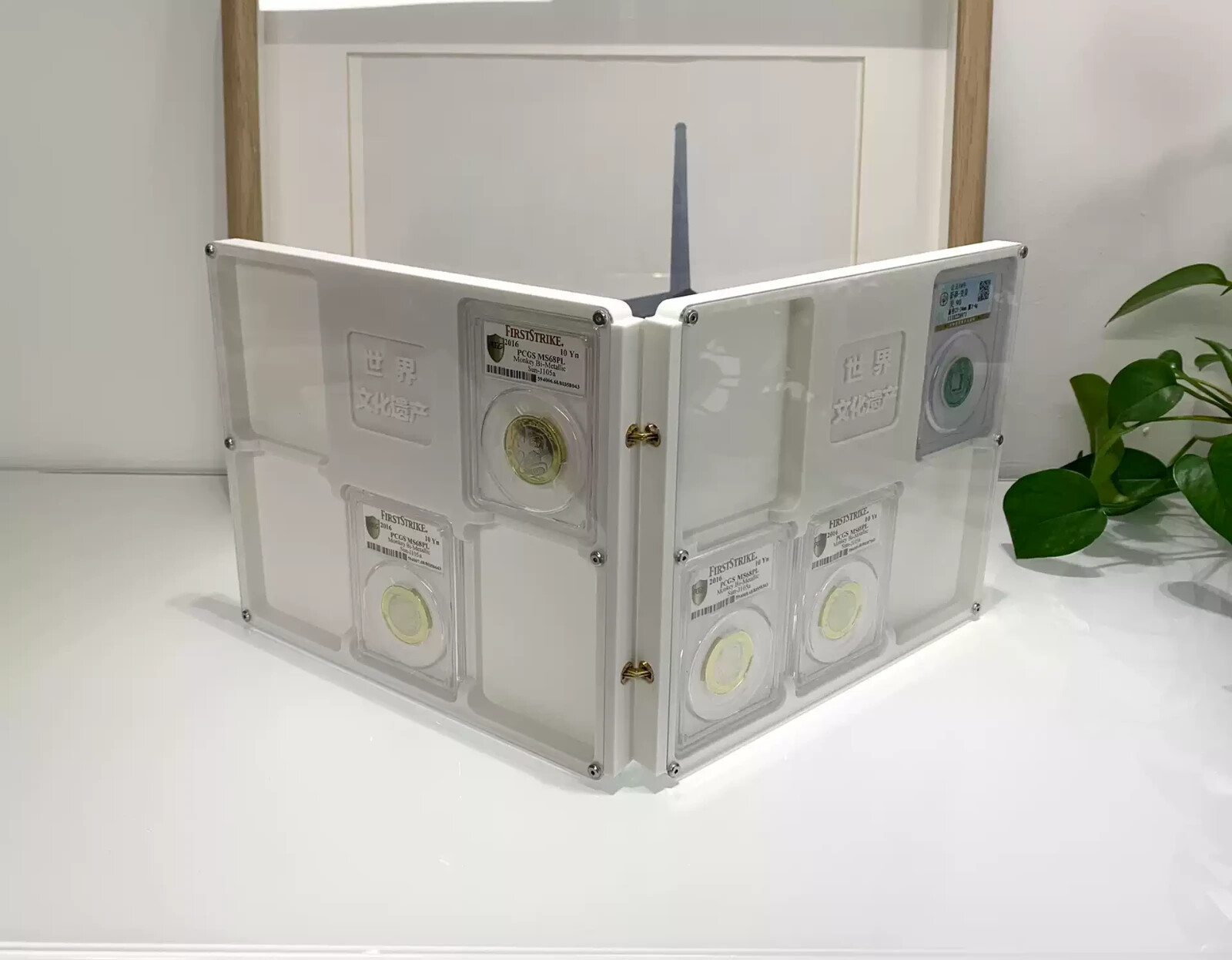 CUSTOMIZE Your Display Frame Box Showcase of NGC/PCGS/ANACS Coin Slab Holder