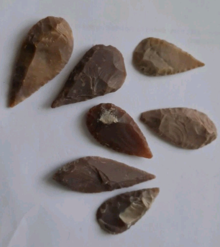 LOT OF 7 NEOLITHIC FLINT LEAF-SHAPED ARROWHEADS. STONE AGE BRITAIN 4000-3000 BC.
