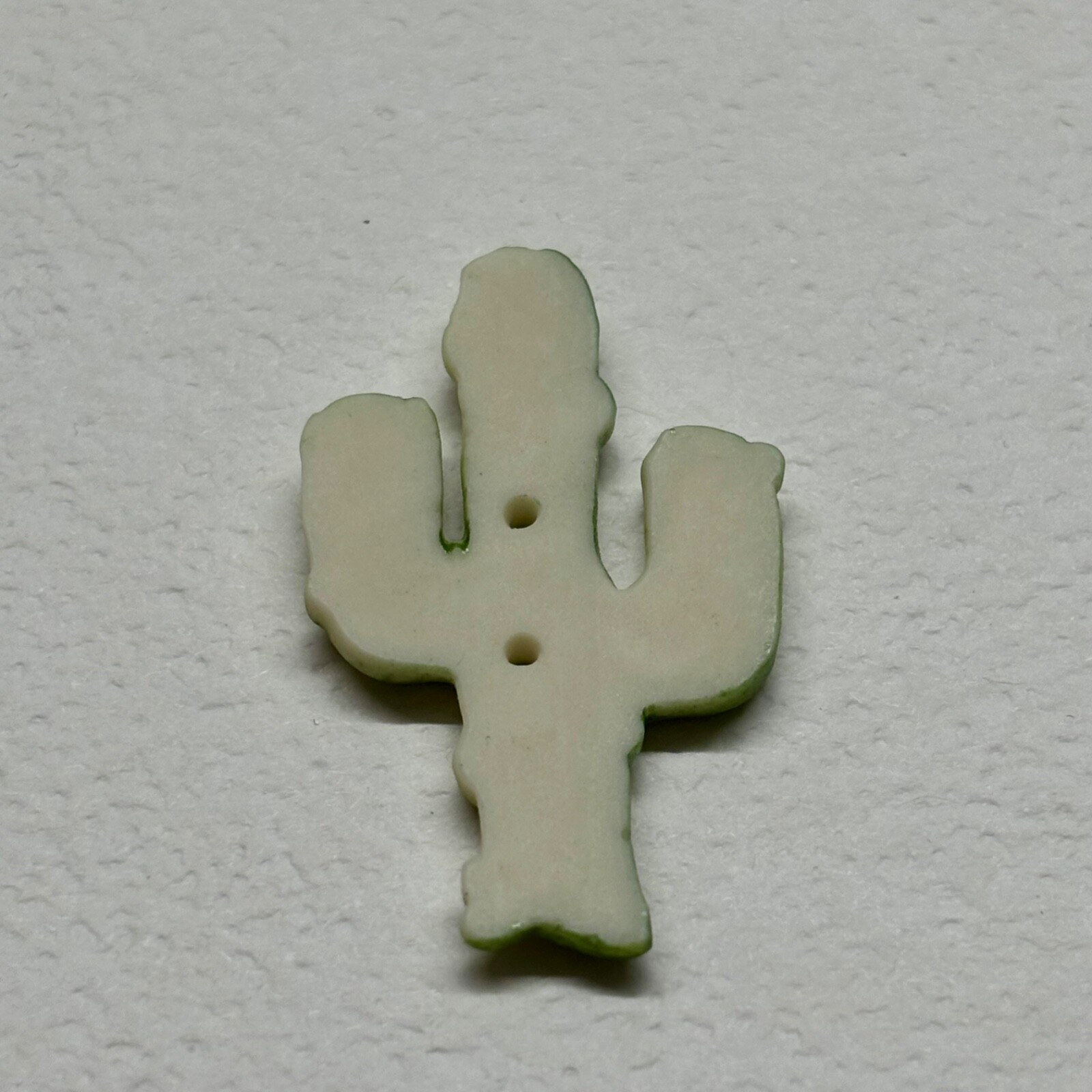 Realistic Green Cactus Ceramic Button