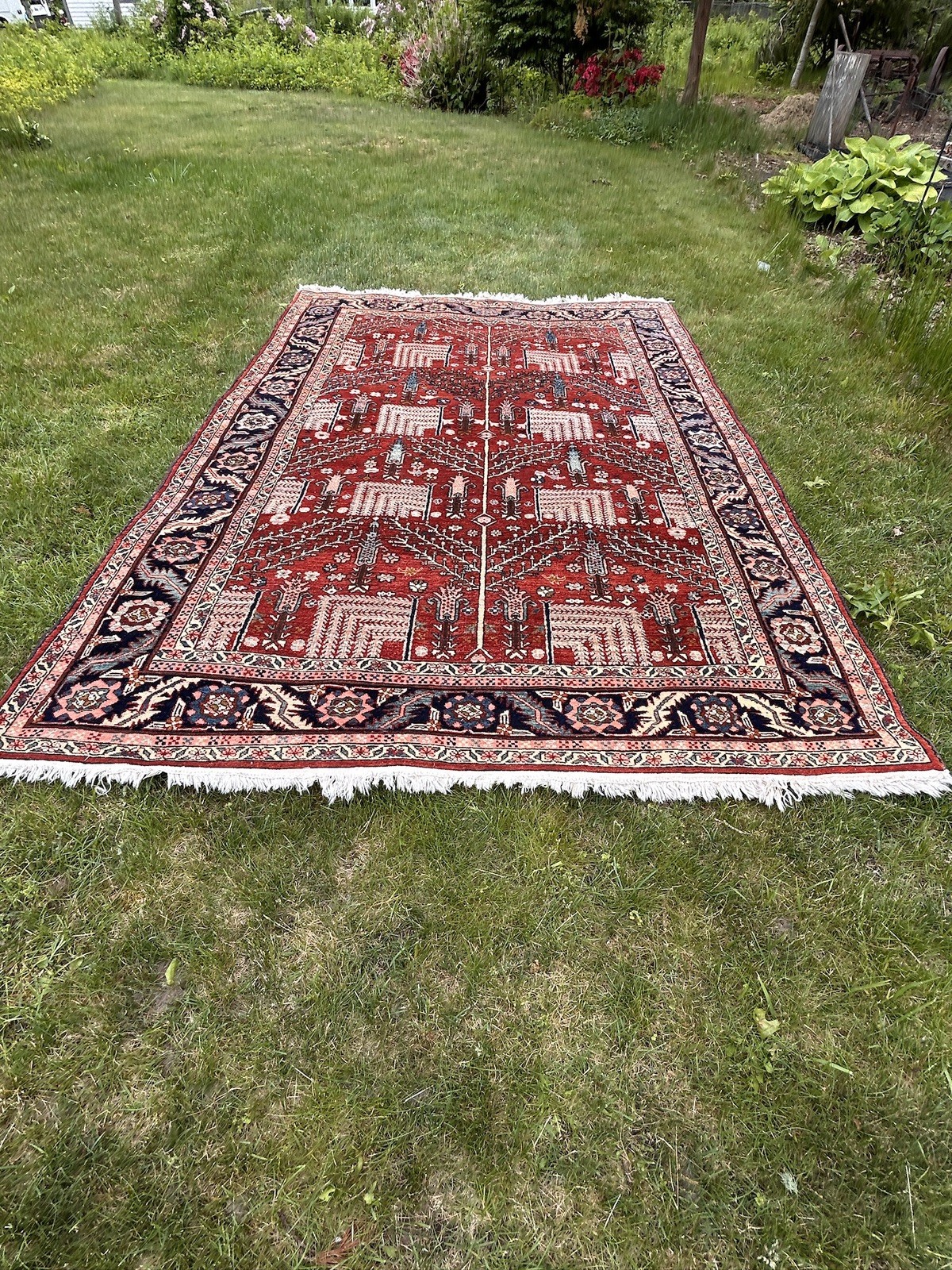 Handwoven Wool “Tree of Life” Fine Area Rug 8’ 8” X 6’ 1”