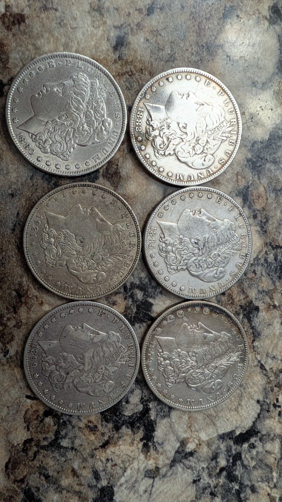 6 Morgan Dollars