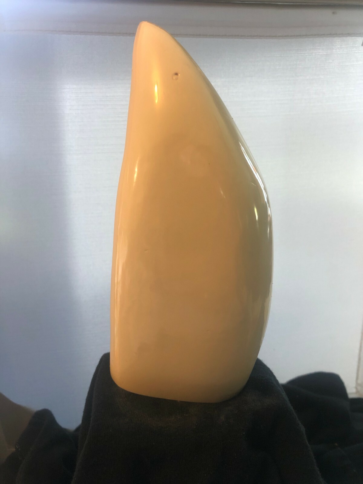 blank Sperm Whale replica tooth ready to scrimshaw #4