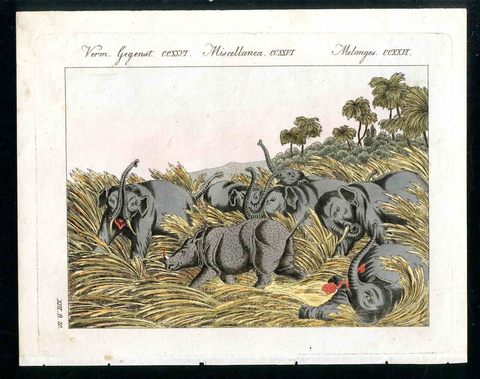 1795 Bertuch Bilderbuch für Kinder Original Print Elephant Herd Fight Off Rhino