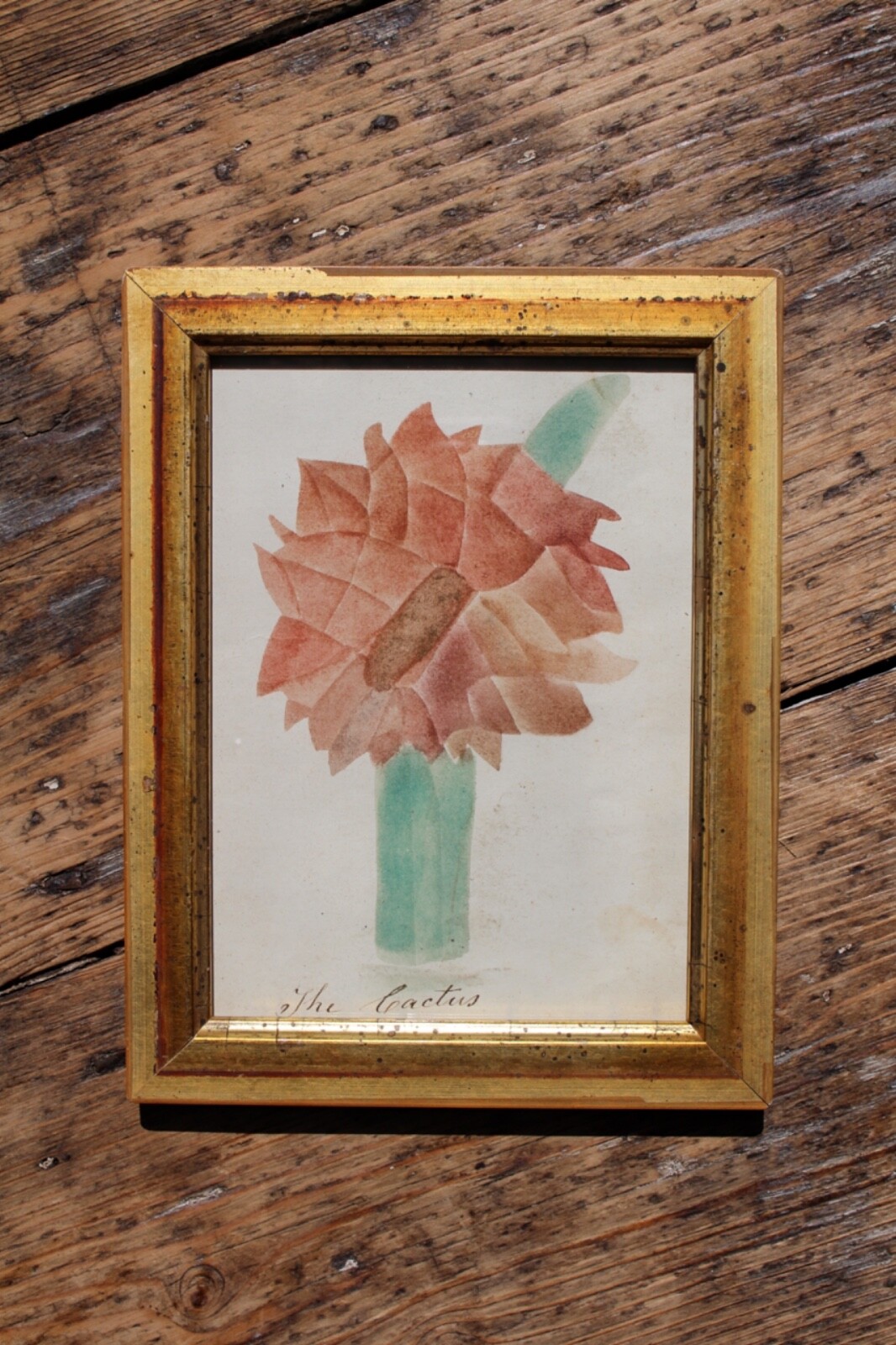 American School Circa 1840 Theorem Painting Of A Cactus Giltwood Frame Folk Art