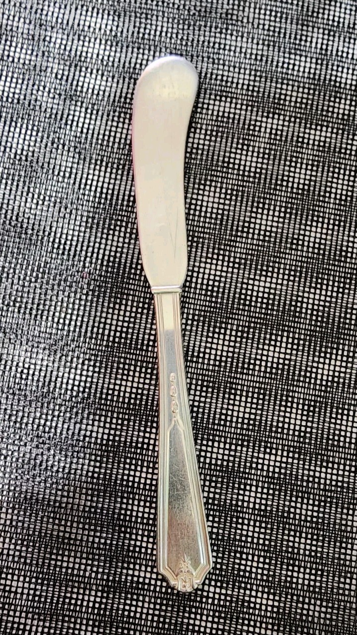 GORHAM ANTIQUE c1923 VANITY FAIR PATTERN SILVERPLATED BUTTER SPREADER 🧈