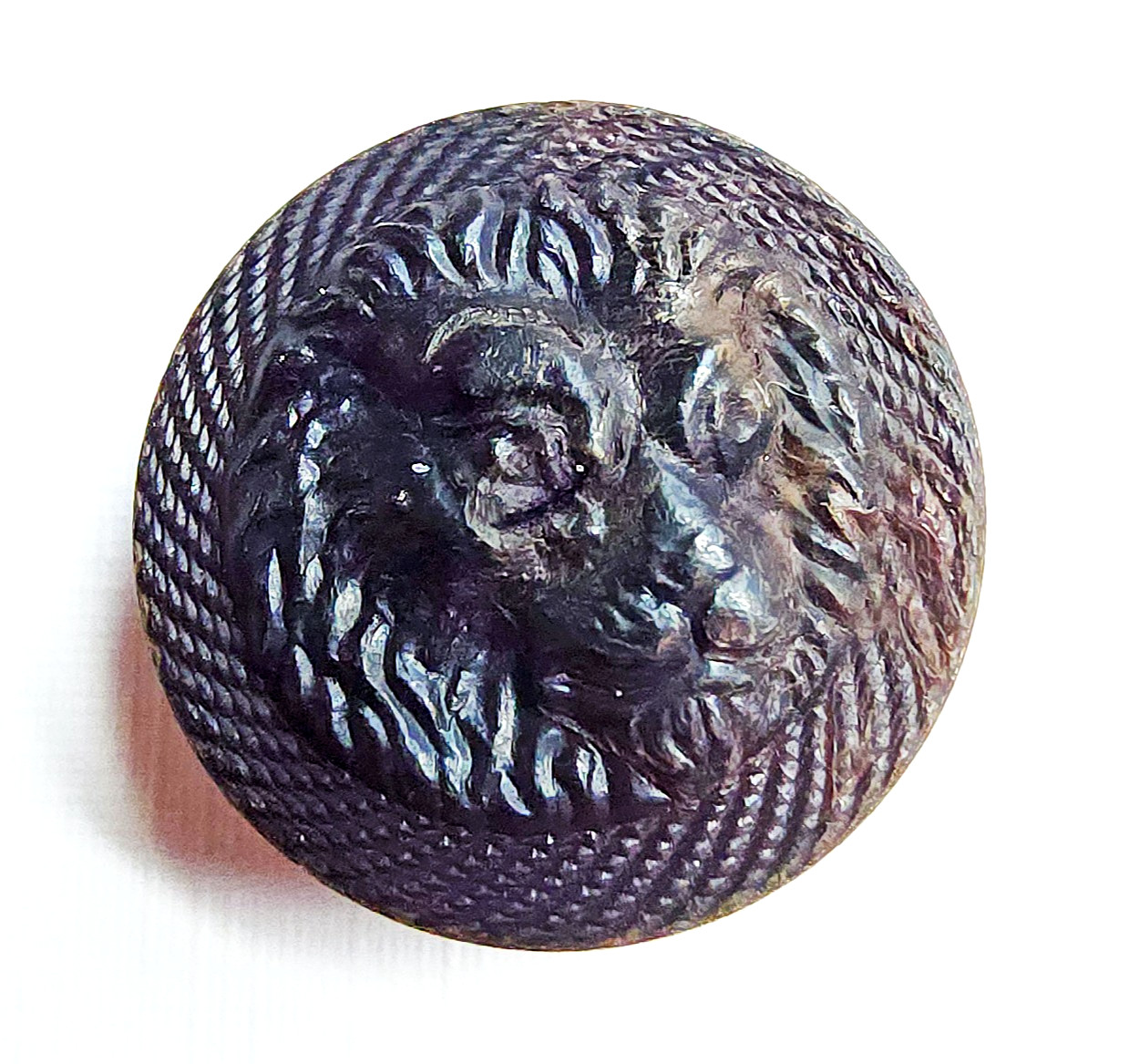 Antique Horn Animal Picture Button ~ Lion Head w/ Pinwheel Border ~ 11/16″ 17mm