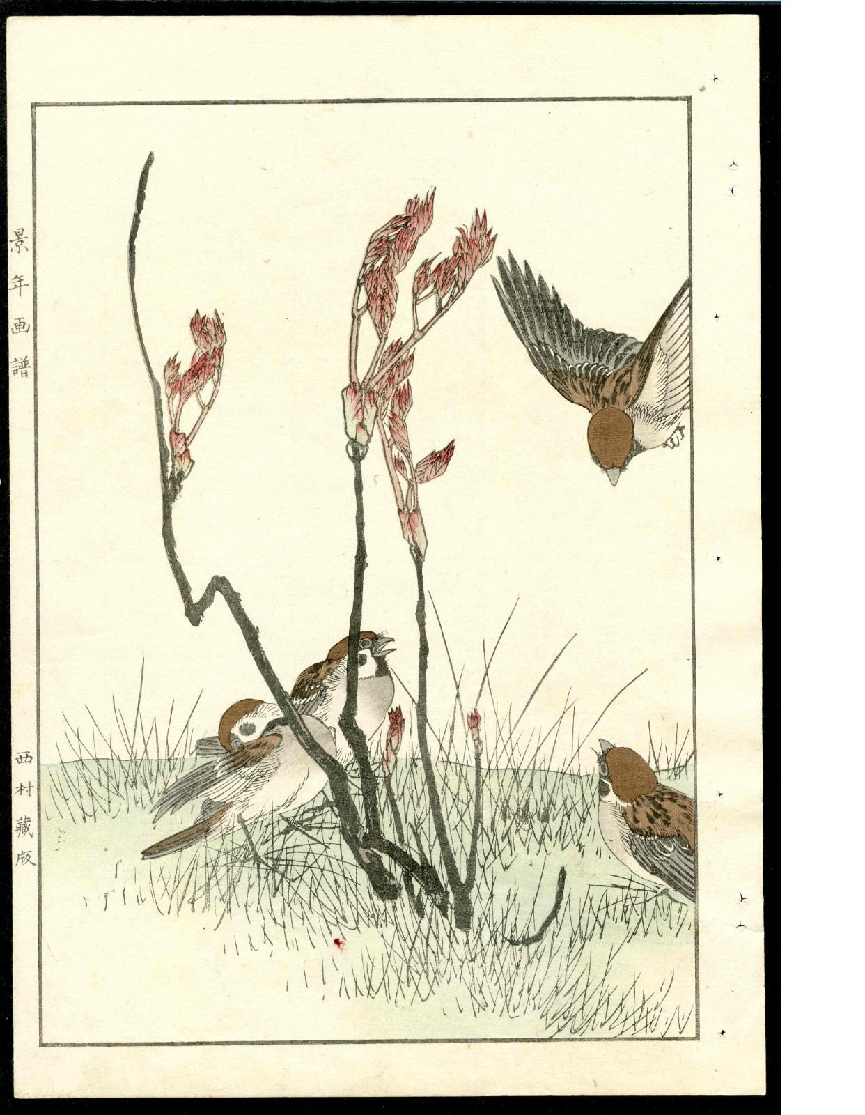 1891 Keinen Imao Woodblock 1st Edition Birds & Flowers Japan, Sparrows, Bush