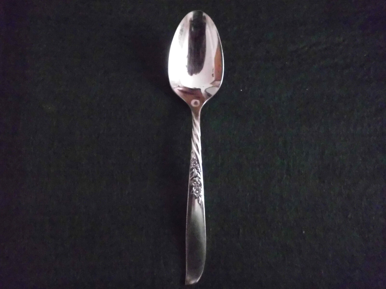 Wm Rogers Silver Overlaid Oneida Wildwood Teaspoon 1958