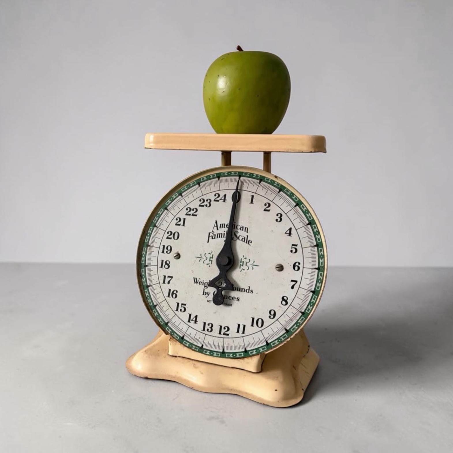 Vintage American Family 25 LB White Rustic Farmhouse Metal Family Kitchen Scale