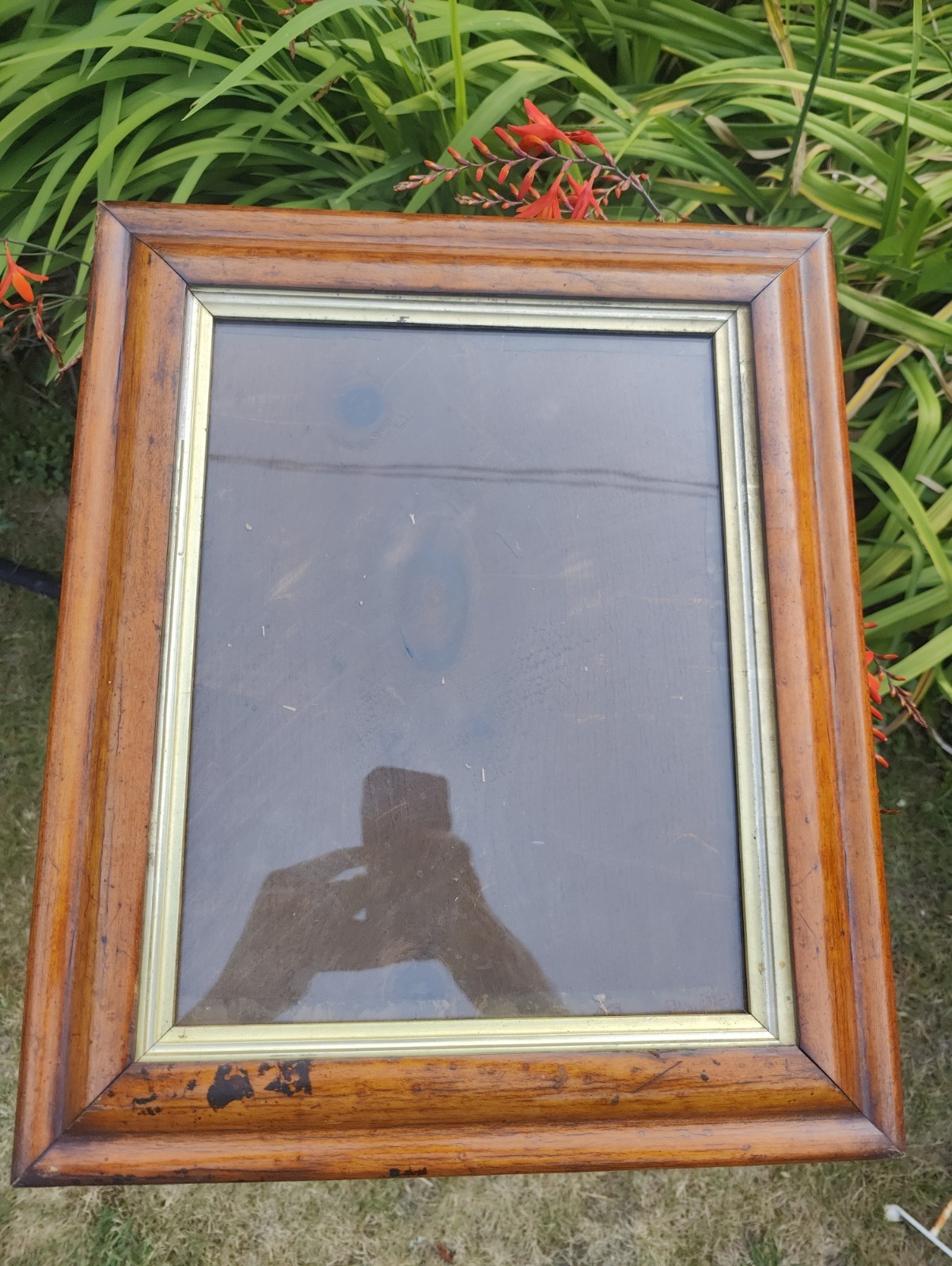 Bird’s Eye Maple Frame C.1870 44.5 X 37cm, View 24.5 X 32cm, Gilt Slip