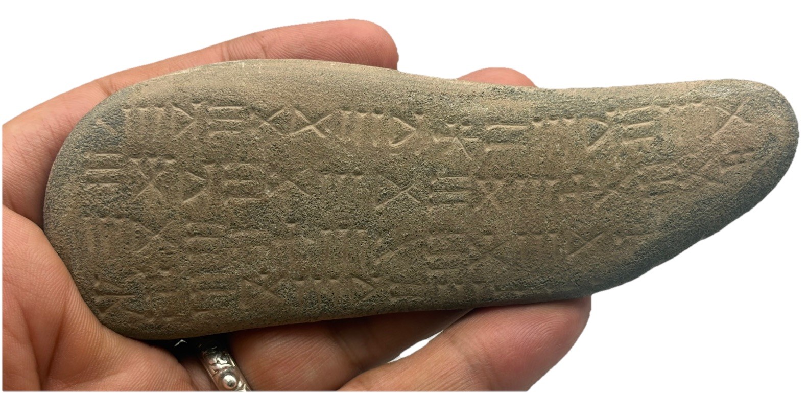 Near Eastern Inscriptions Tablet Stone Relief Intercultural Historic Panel