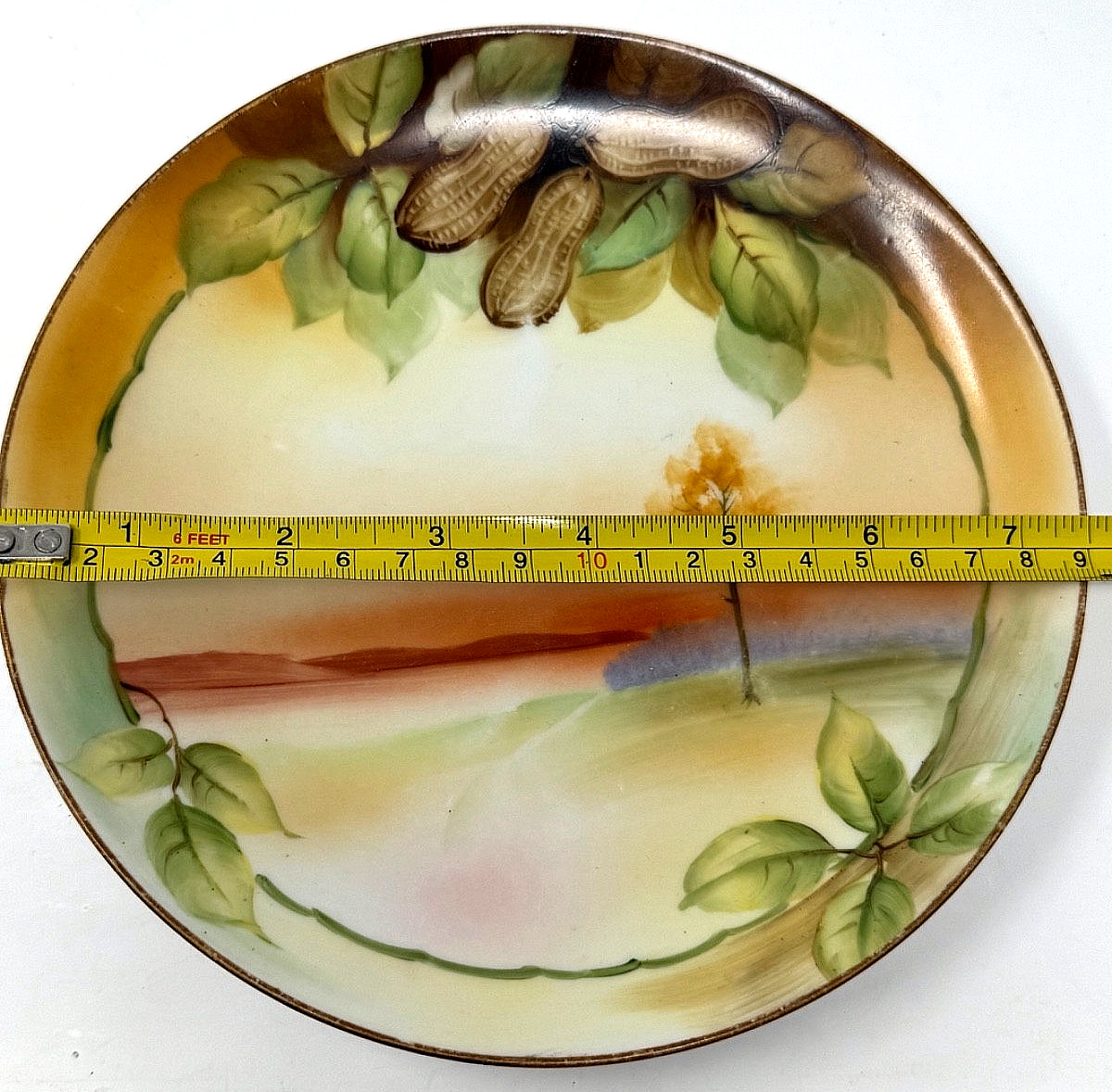 Nut, Candy Plate 1920 REALISTIC 3D PEANUTS Hand Painted Fall Color Nippon 7.5″