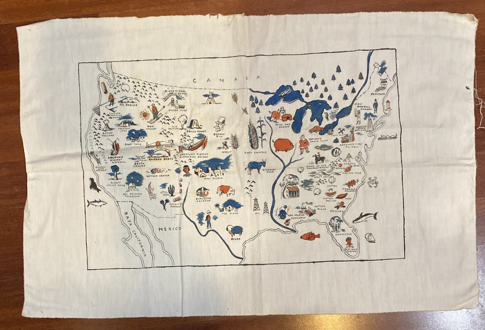 Original Hand Made Painted Folk Art USA America Map On Cloth Pictorial