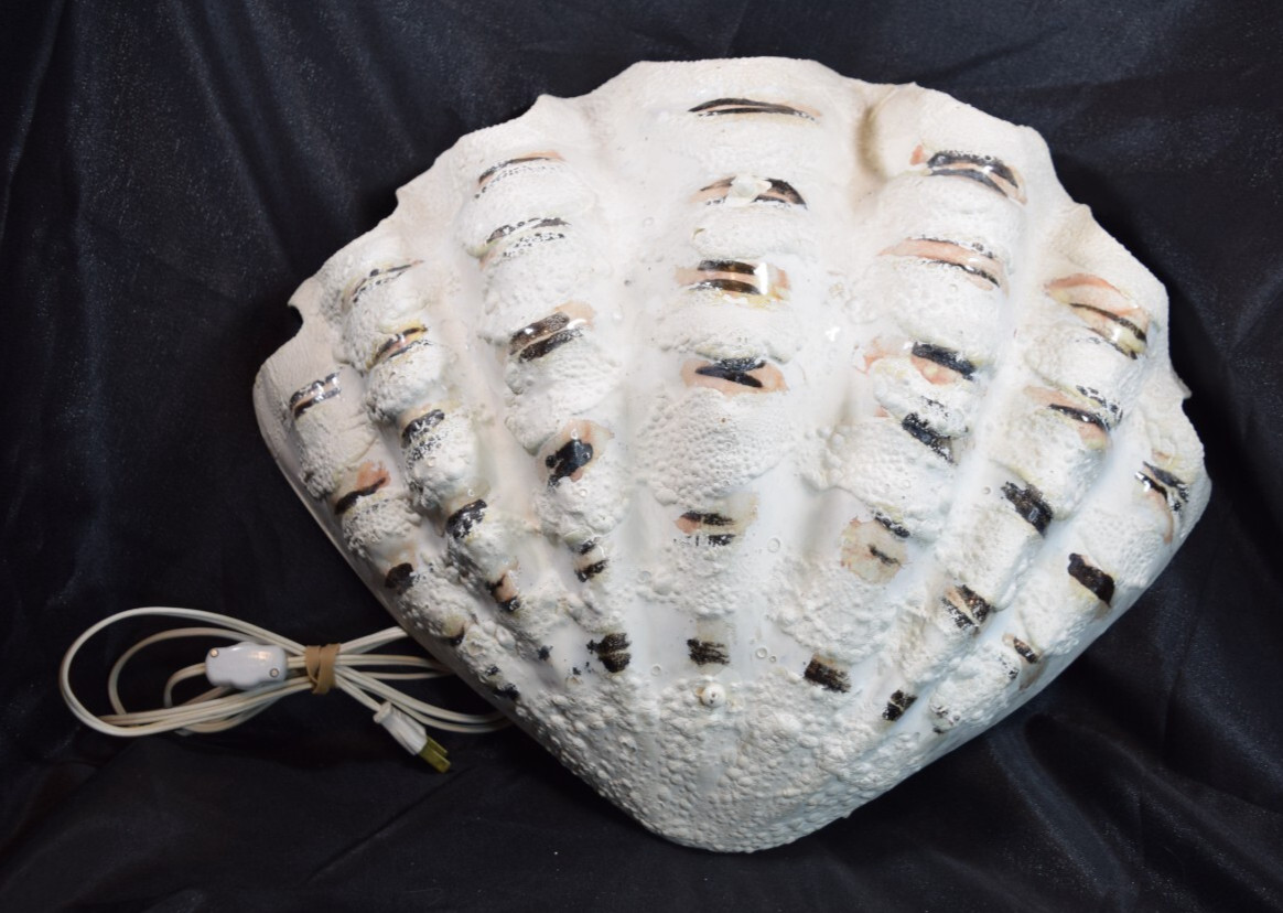 Vintage Wall Sconce Giant Clam Shell Metal Handcrafted Painted Lighting Nautical