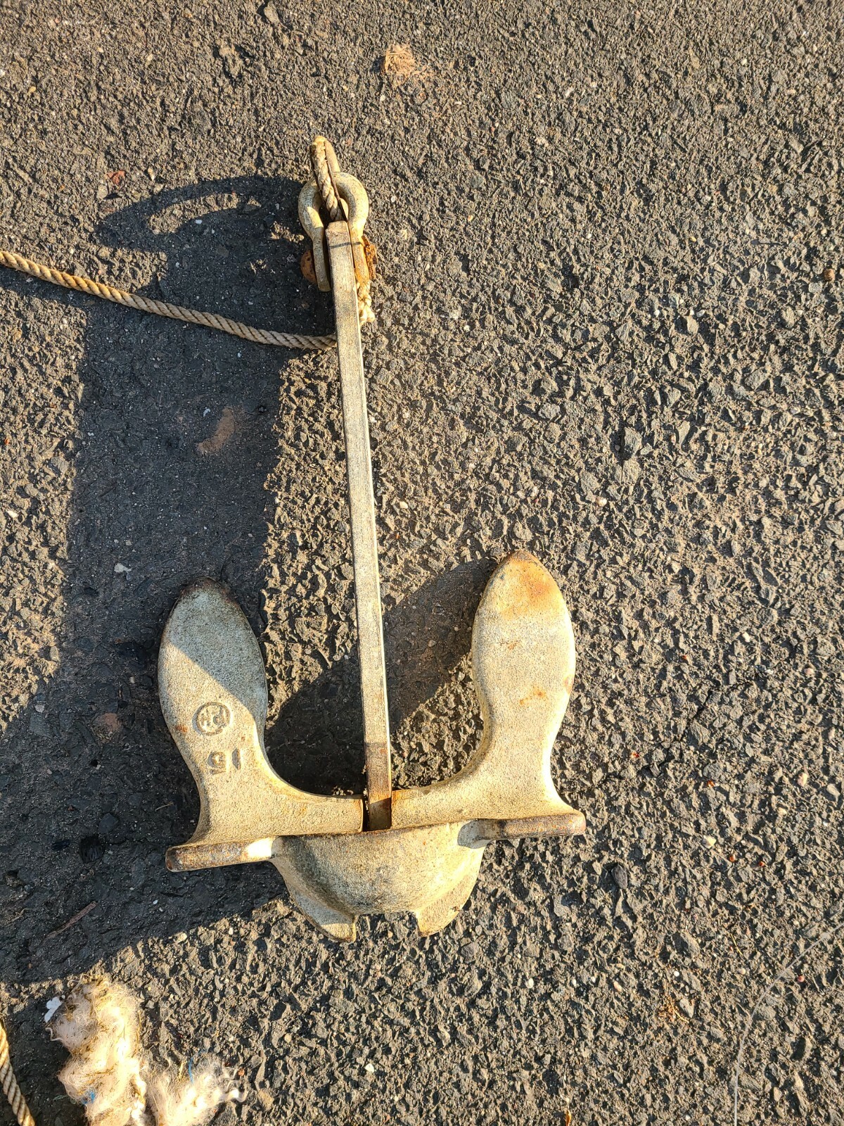 Anchor navel 15 lbs