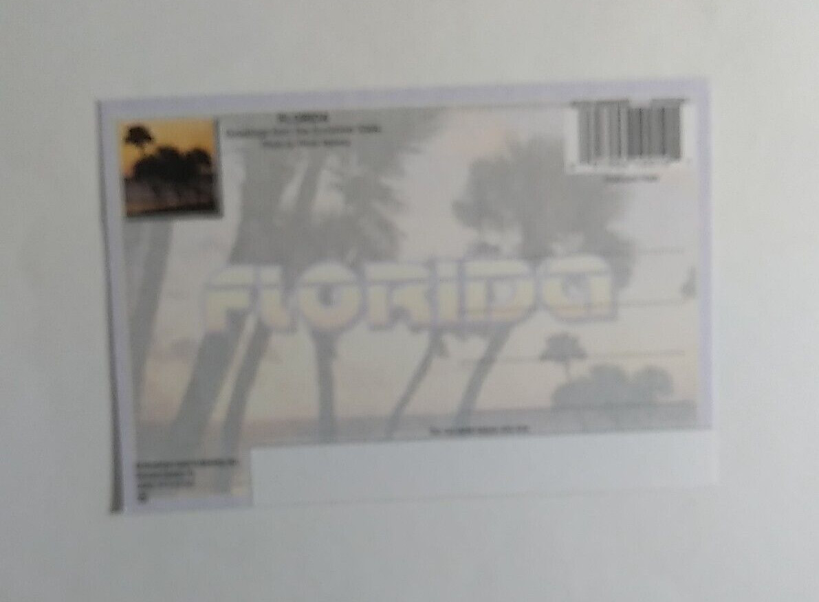 Postcard New Ormond Beach Fl unposted