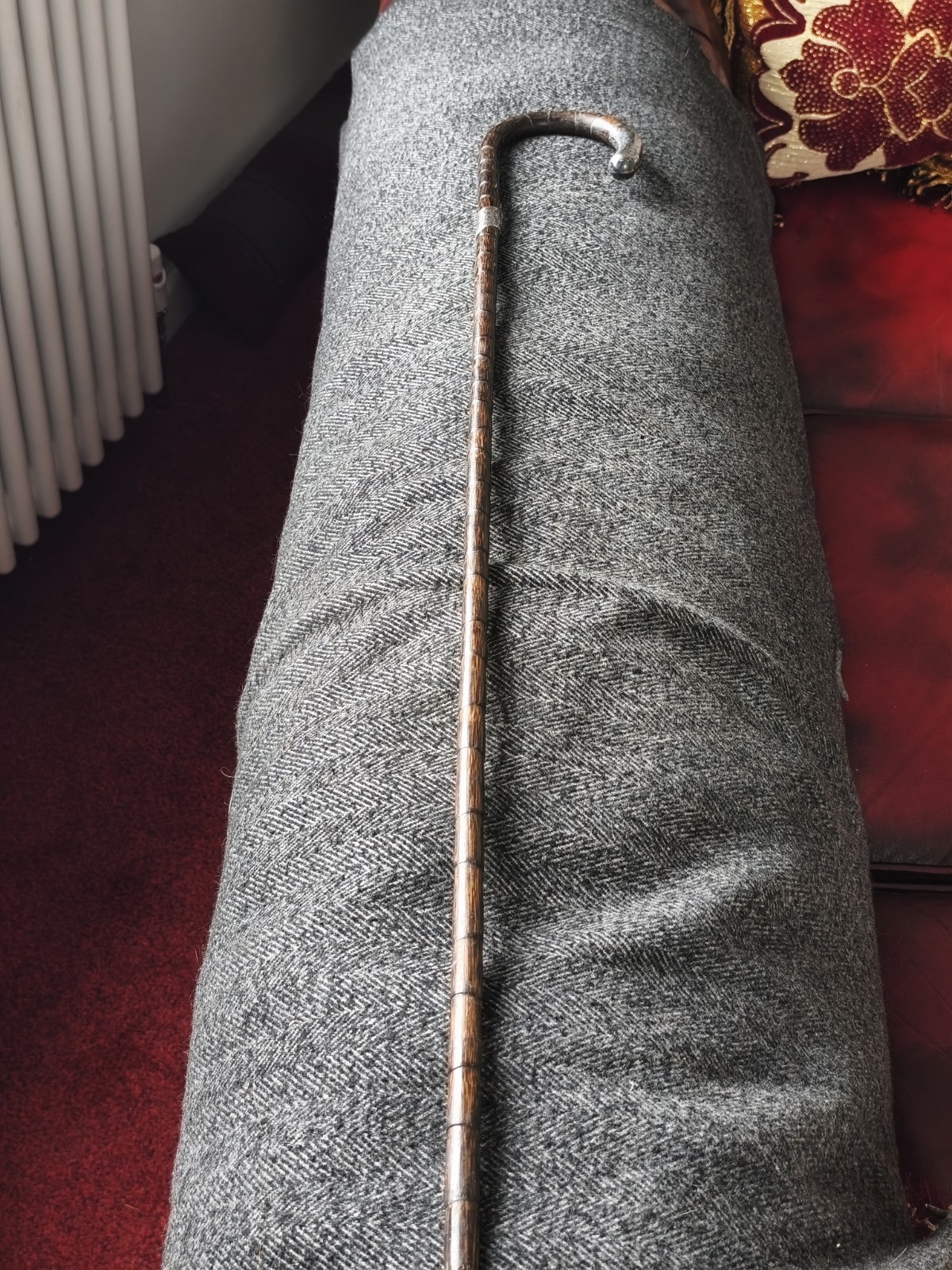 Cane Silver Walking Stick
