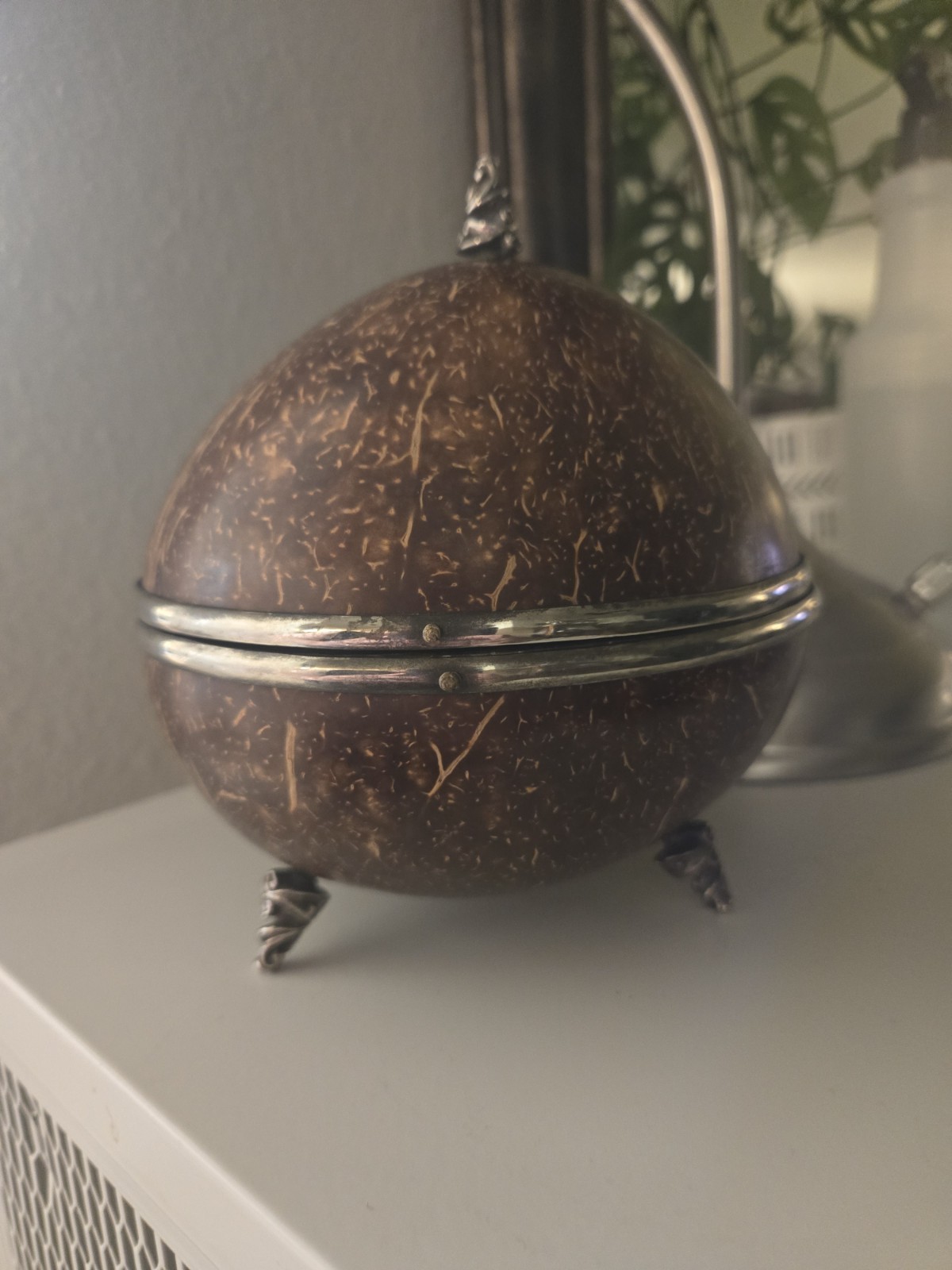 Antique Coconut Jewellery Box. Silver Metal Mounts. Black Velvet. C.1900.