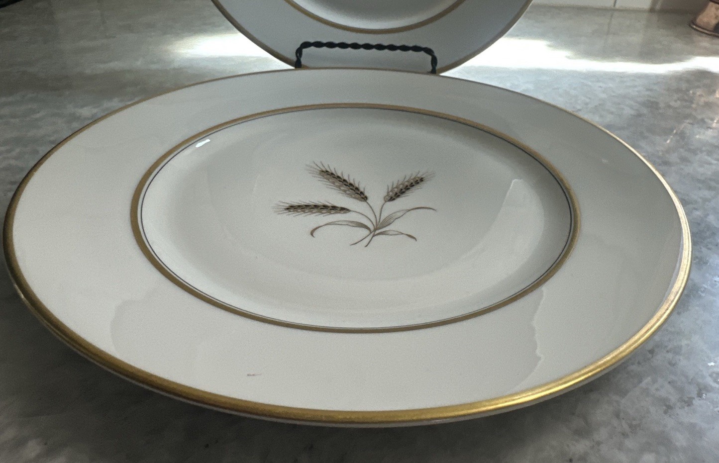 Rosenthal Bountiful Wheat 10” Dinner Plates ~ Set of 2 ~ Circa 1966
