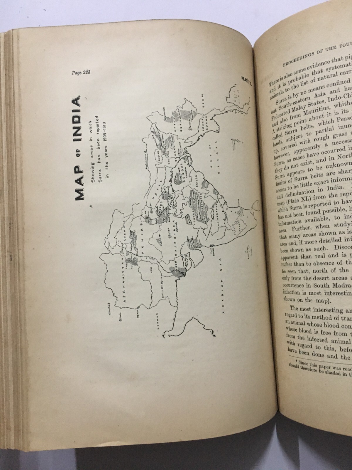 Fletcher, T. Bainbrigge: Report Proceedings Fourth Entomological Meeting. 1921