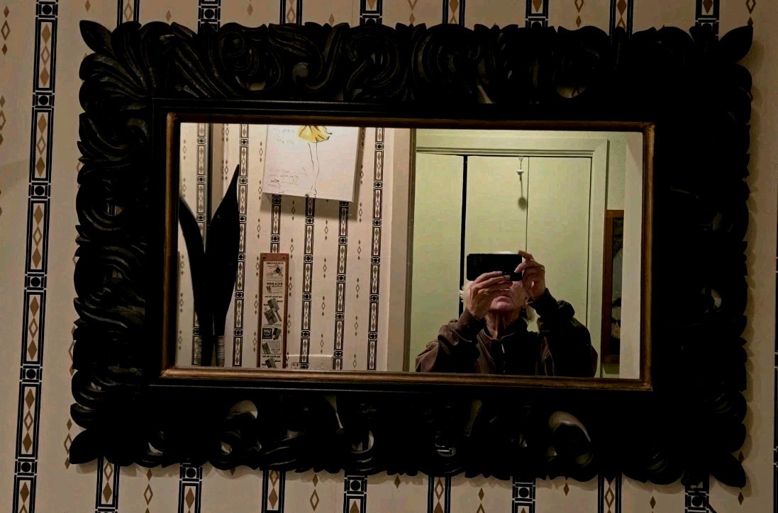 Ornately Carved Wood Plantation Style Wall Mirror 36X23.5 Inches