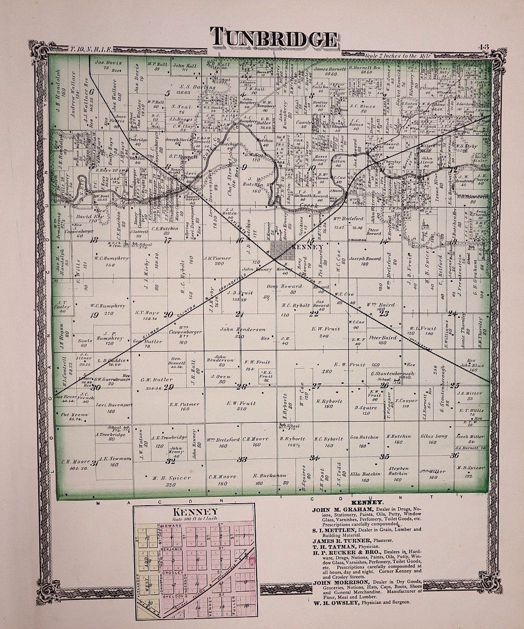 1875 Plat Map ~ Tunbridge, De Witt County, Illinois (15×18)-#24