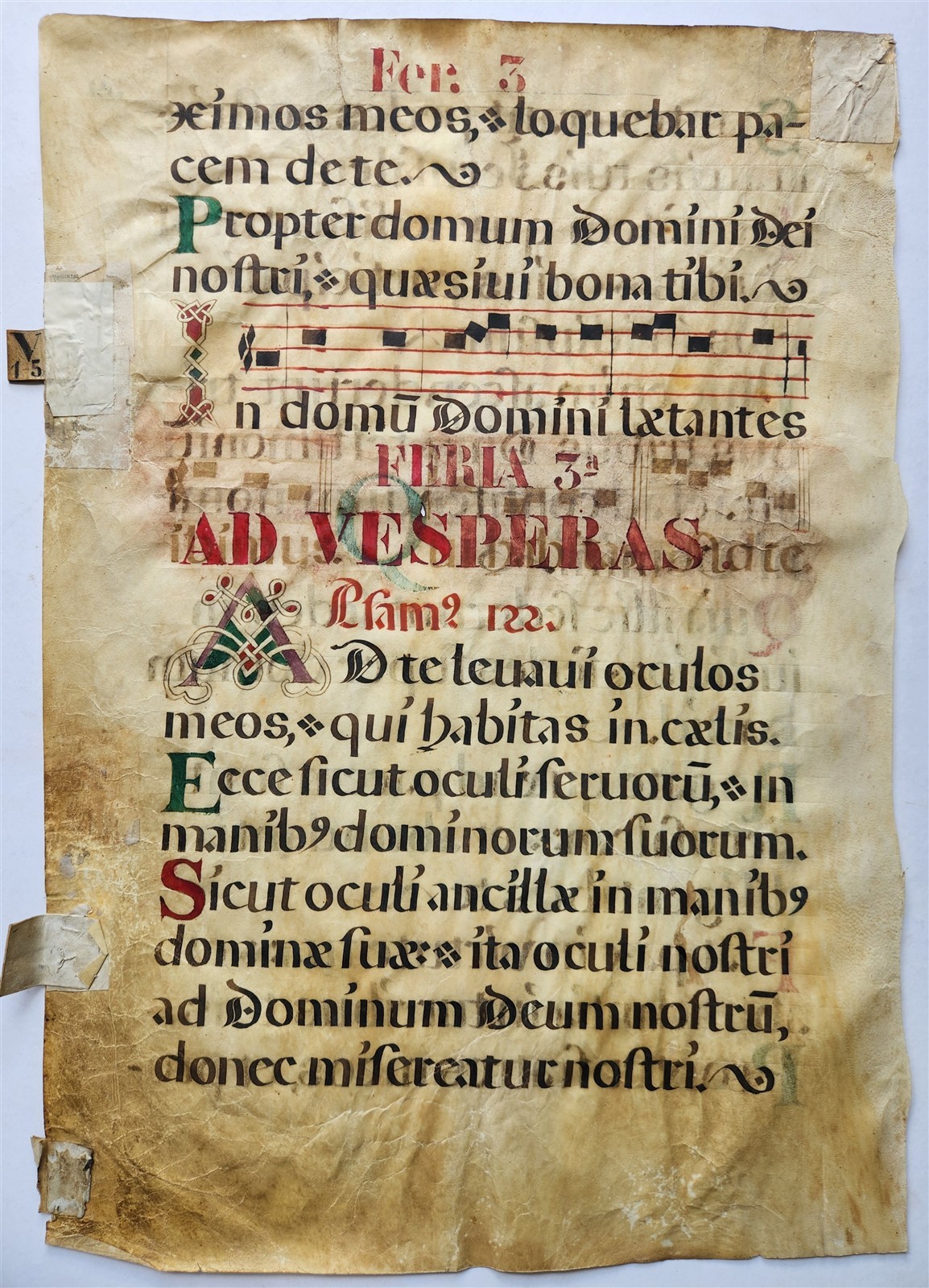 16th cent. ANTIPHONAL VELLUM MANUSCRIPT antique LITURGICAL TEXT in LATIN 18×27″