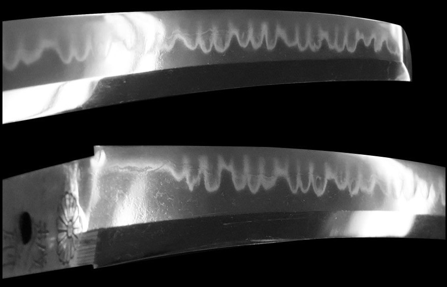 Wakizashi 脇差 “ Nobuyoshi ” 菊紋越前守源信吉 Japanese Real Sword 54.2 cm Shirasaya Edo