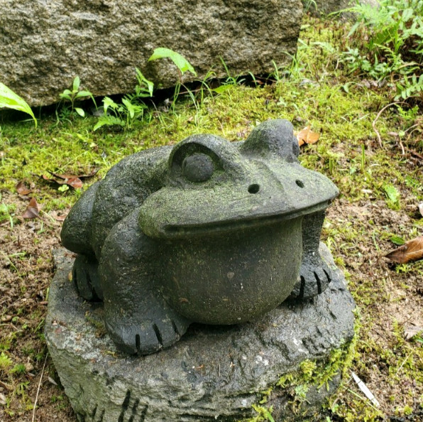 Japanese antique A charming stone-carved frog figurine Height16 cm/6.3 in