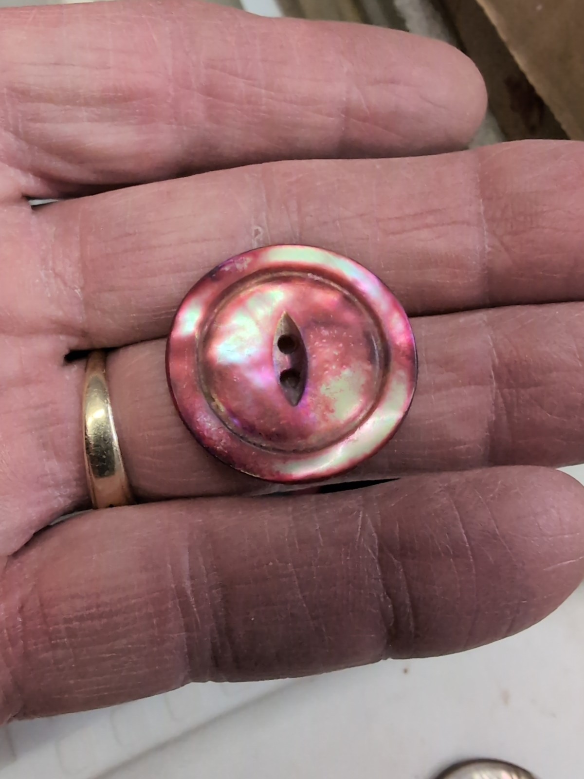 (10) Ablone Shell Buttons