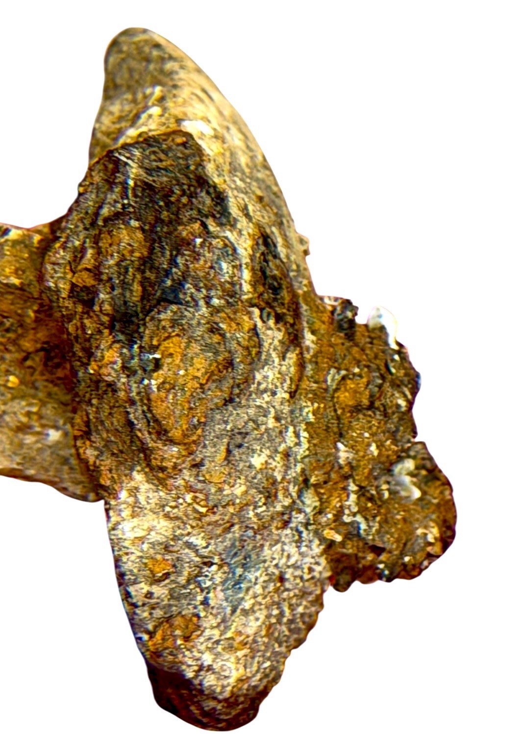 ROMAN OR MEDIEVAL IRON STRUCTURAL CLENCH NAIL CONCRETION RIDGEWAY DETECTING FIND