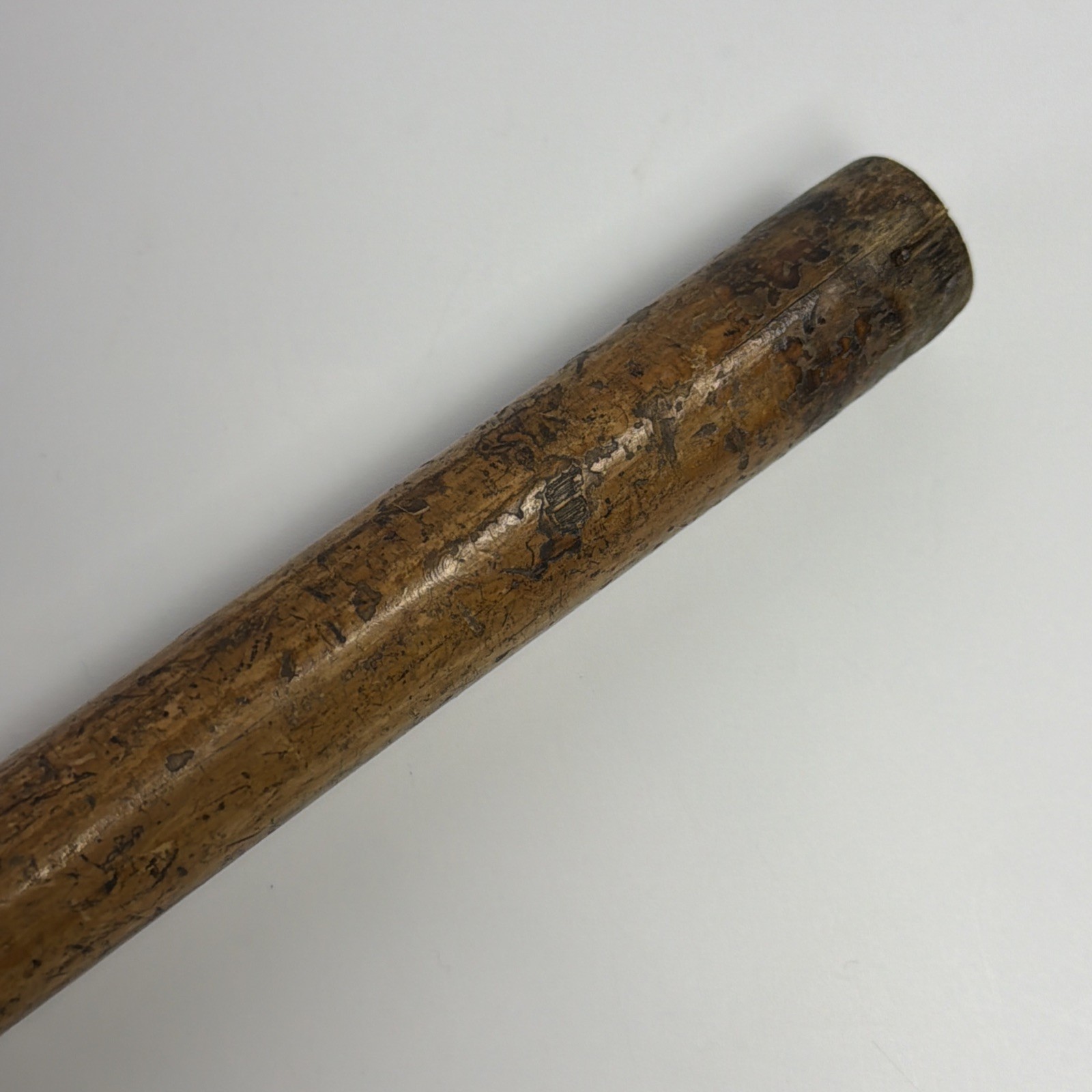 Antique Hallmarked Silver Topped Walking Stick Malacca Shaft London 1909