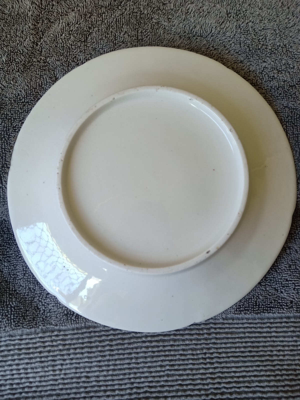 antiques iron red flower pattern plate 矾红彩缠枝花卉纹盘
