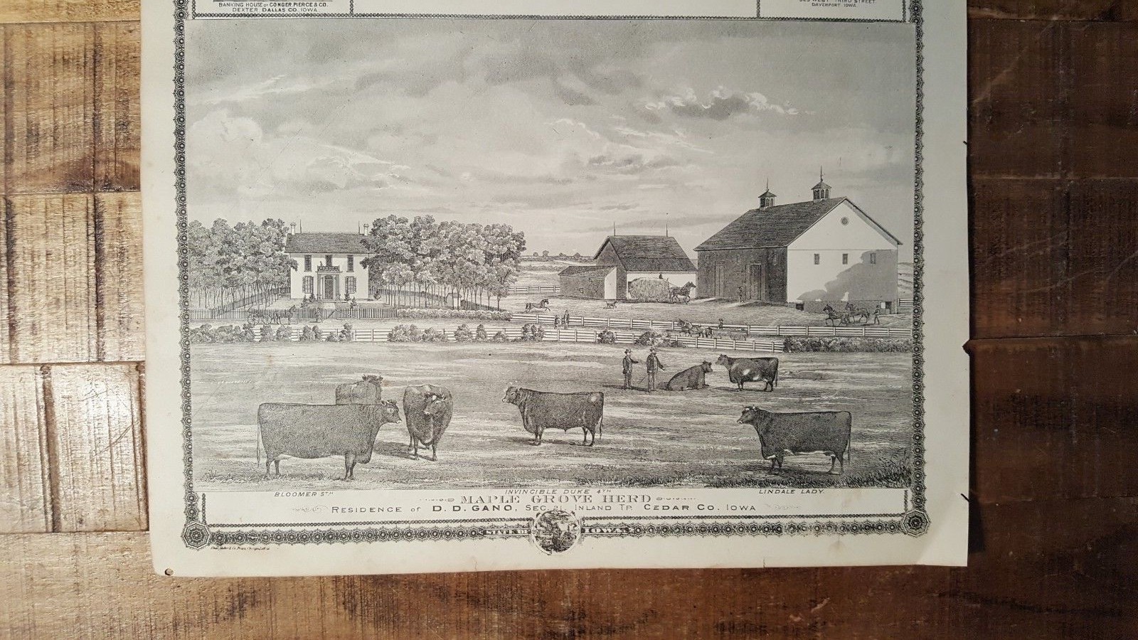Antique Engraving – RED OAK, MONTGOMERY CO/OTHER VIEWS – Andreas Atlas Co. 1875