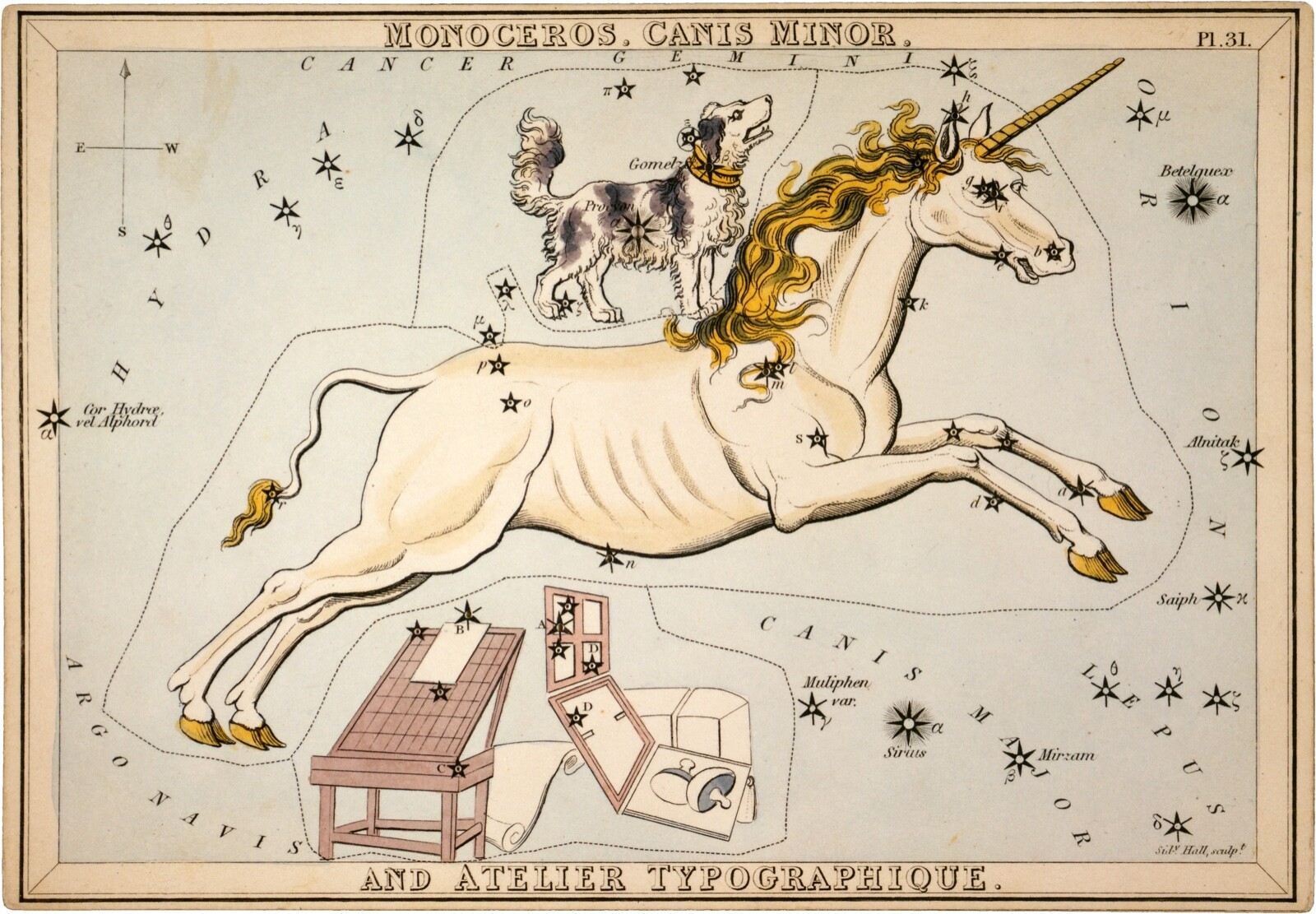 Vintage Astrology – Unicorn : Sydney Hall : Archival Quality Art Print
