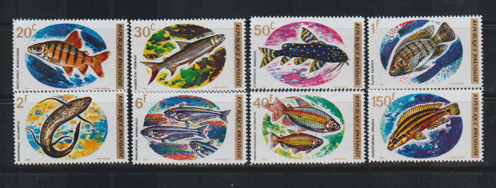 GPL-RWANDA MNH SET VERY NICE SC#541-548 FRESH WATER FISH SCV$9.35