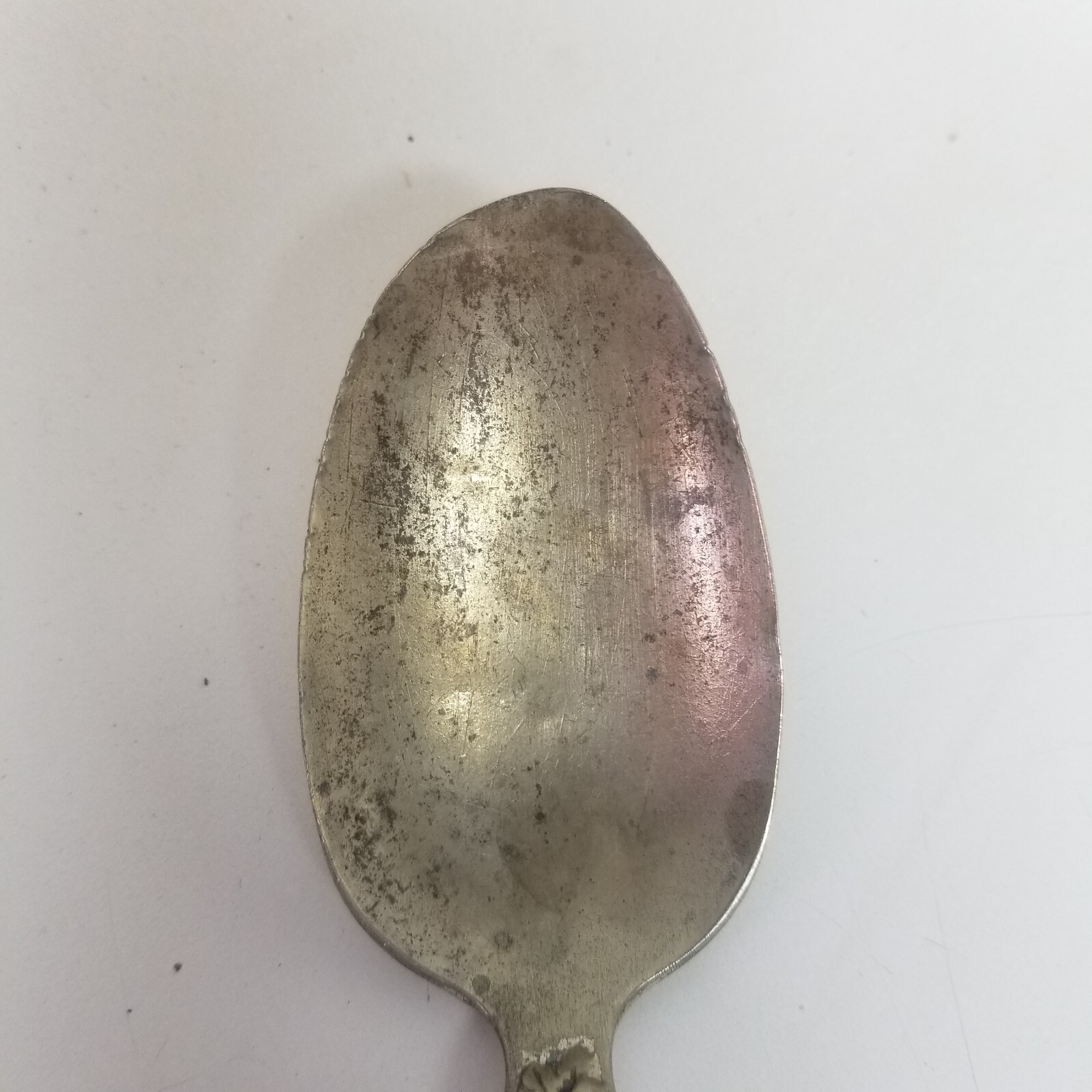 1847 Rogers Bros Vintage Grape Pattern Silver Plate Tea And Serving spoon Lot 5