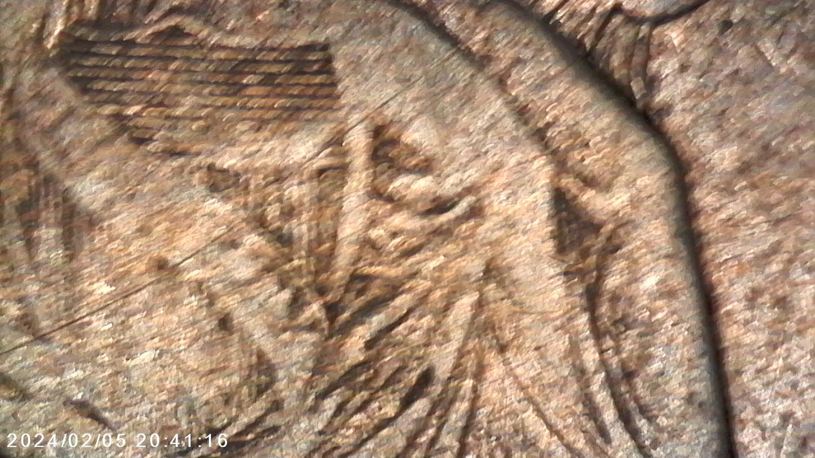 Seated liberty Half Dollars