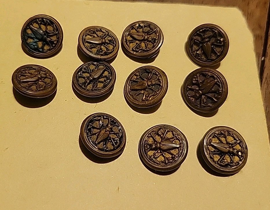 Lot Of 11 Matching Unique Vtg/Antique/Old Metal Beetle Buttons Shank Small .5″1K